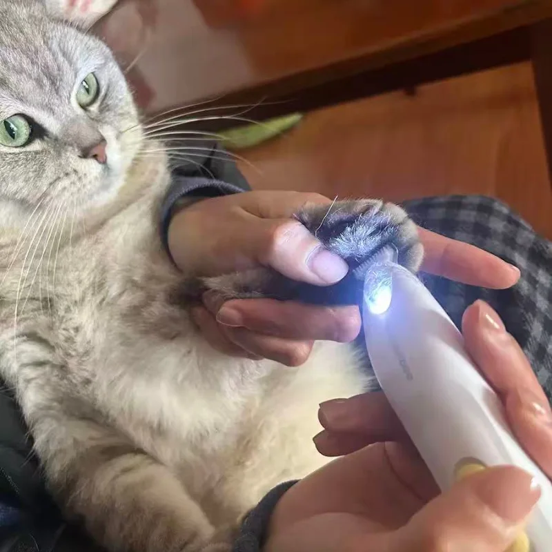 Tondeuse pour Chien et Chat – Légere et Silencieuse