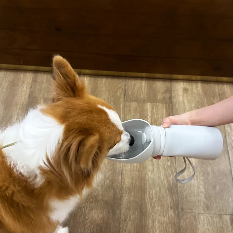 Gourde Pliable pour Chien – Silicone Alimentaire, Portable et Léger