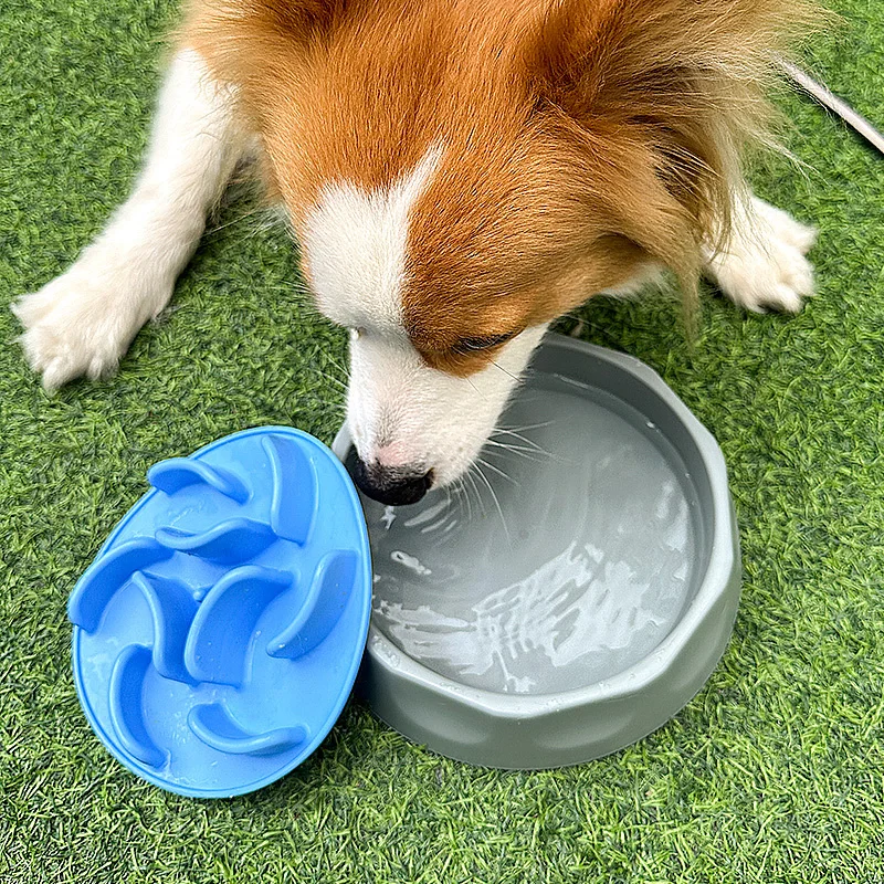 Gamelle Antiglouton 2-en-1 en Silicone – Pour Chien et Chat