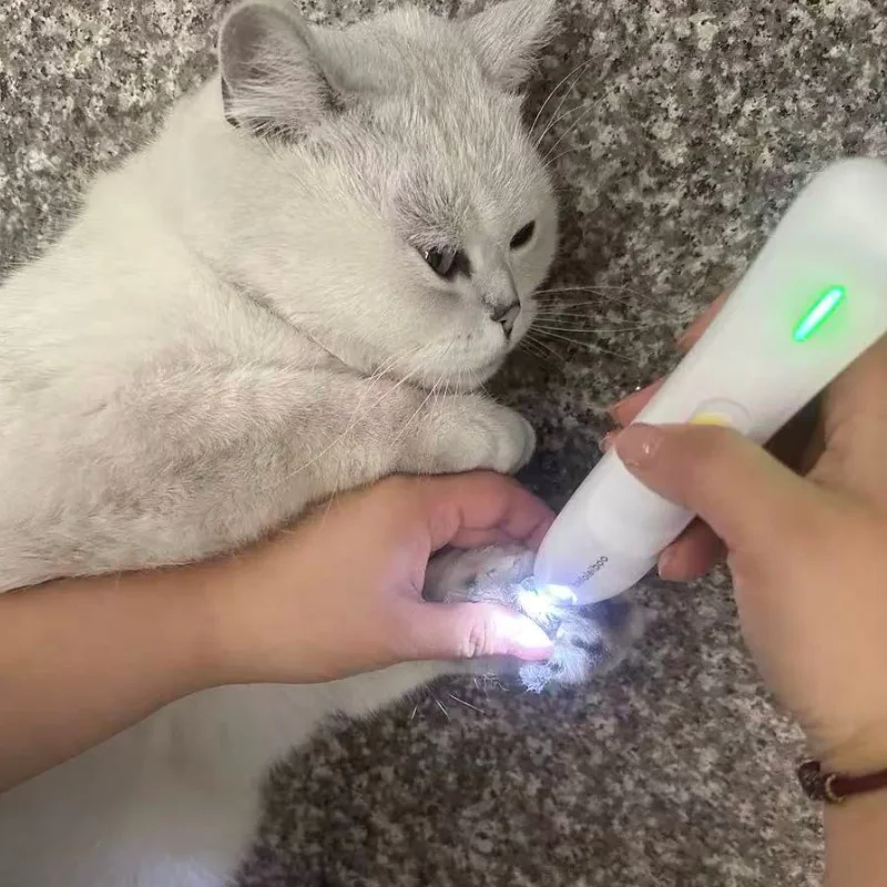 Tondeuse pour Chien et Chat – Légere et Silencieuse