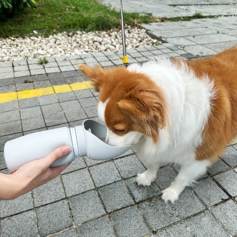 Gourde Pliable pour Chien – Silicone Alimentaire, Portable et Léger