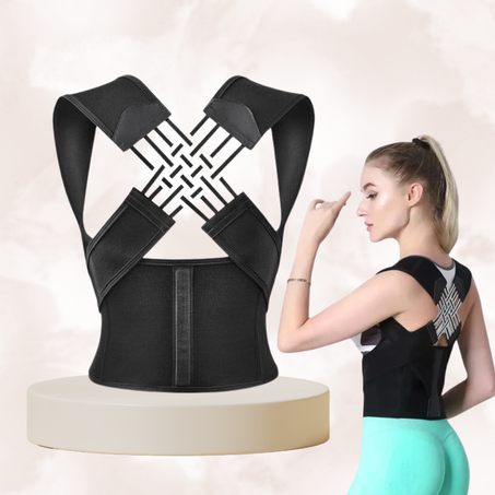 حزام شد الظهر الفعال