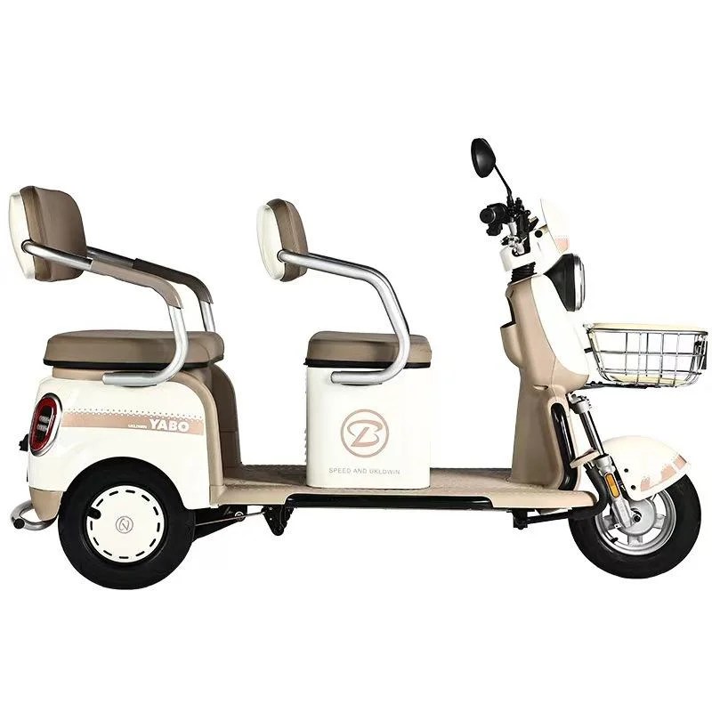 800W 1000W Electric Tricycles 3 Wheel Electric Cargo Bike Household Small Scooter Three-seat Adjustable Electric Tricycles