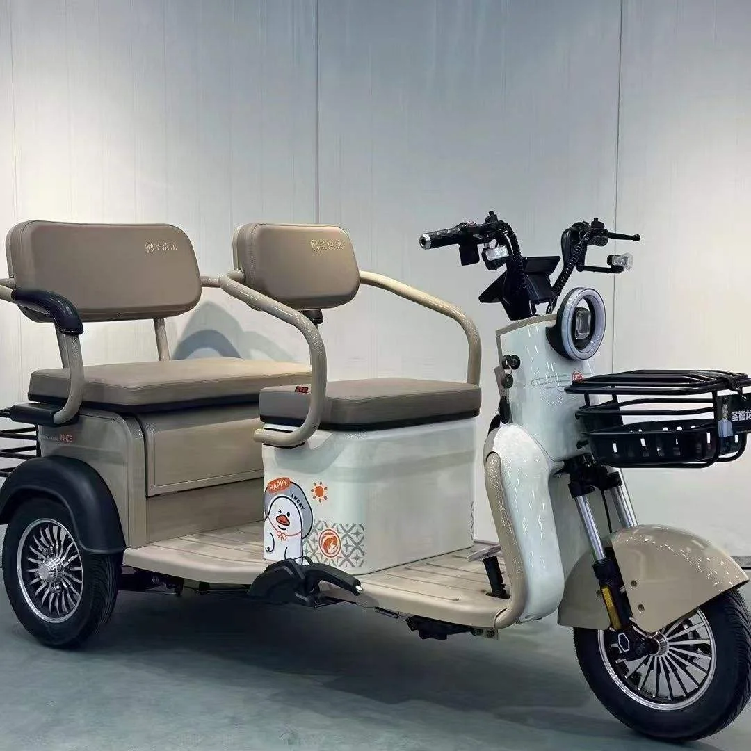 600W Electric Tricycle for Adults 48V 20A 3-Wheel Cargo and Passenger Use EEC Certified Open-Type Electric Bike