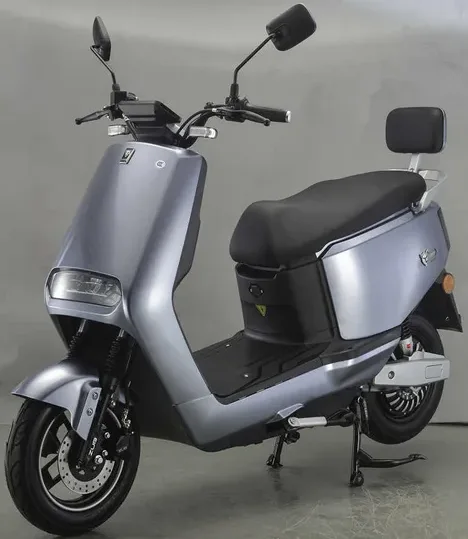 Electric Scooter Electric Motorcycle