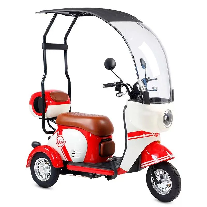 600W Powerful Fashion Electric Tricycle Two Seats Motorcycle