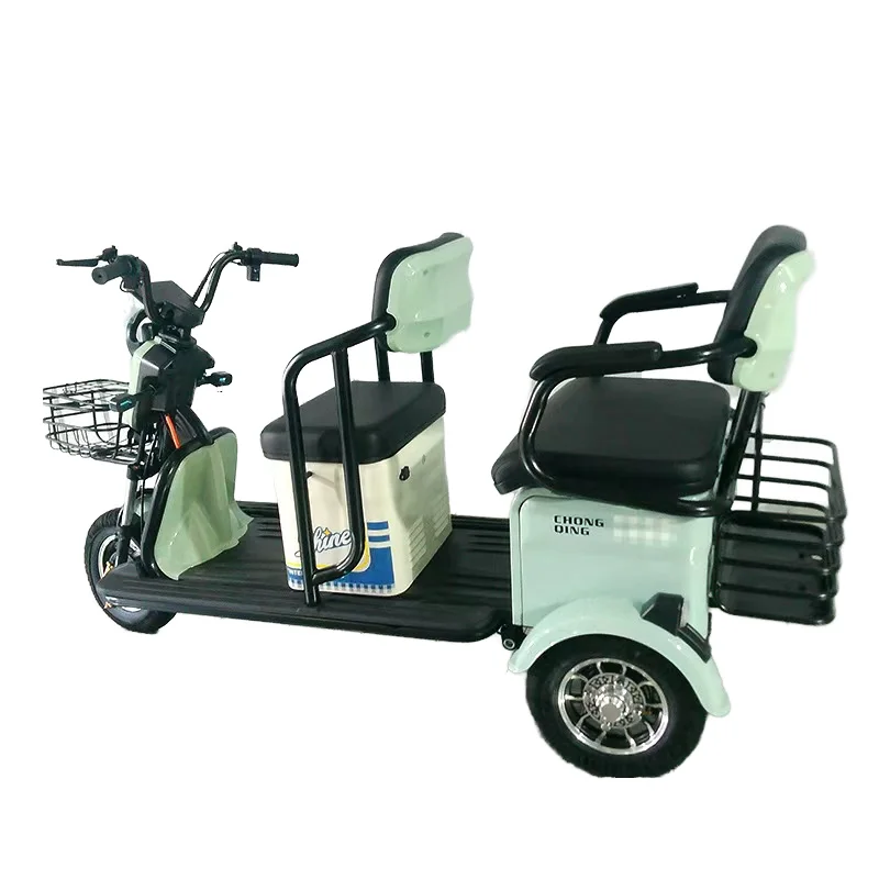 600W Electric Tricycle for Adults 48V 20A 3-Wheel Cargo and Passenger Use EEC Certified Open-Type Electric Bike