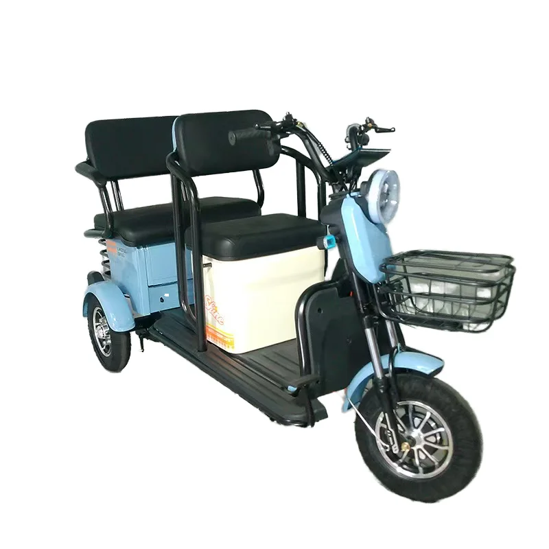 600W Electric Tricycle for Adults 48V 20A 3-Wheel Cargo and Passenger Use EEC Certified Open-Type Electric Bike