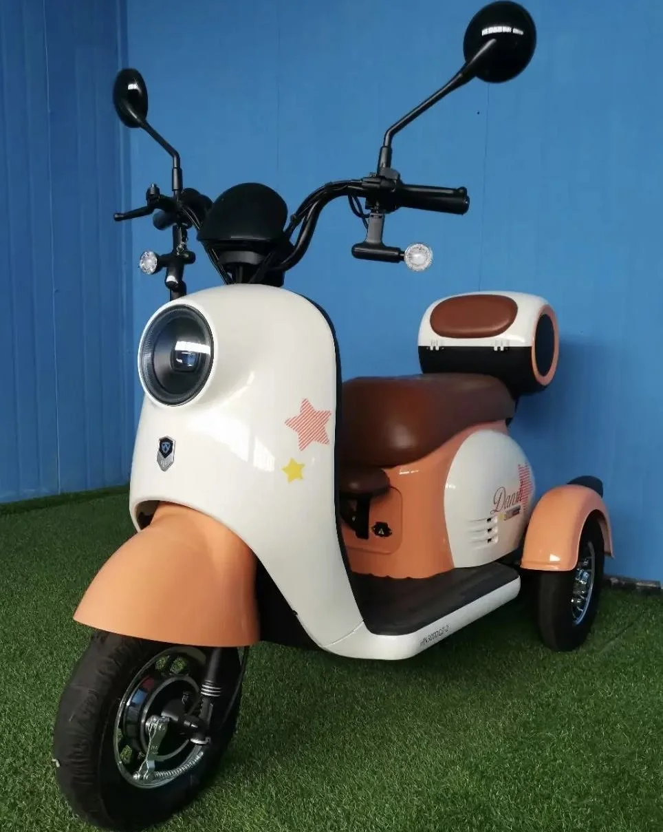 600W Powerful Fashion Electric Tricycle Two Seats Motorcycle