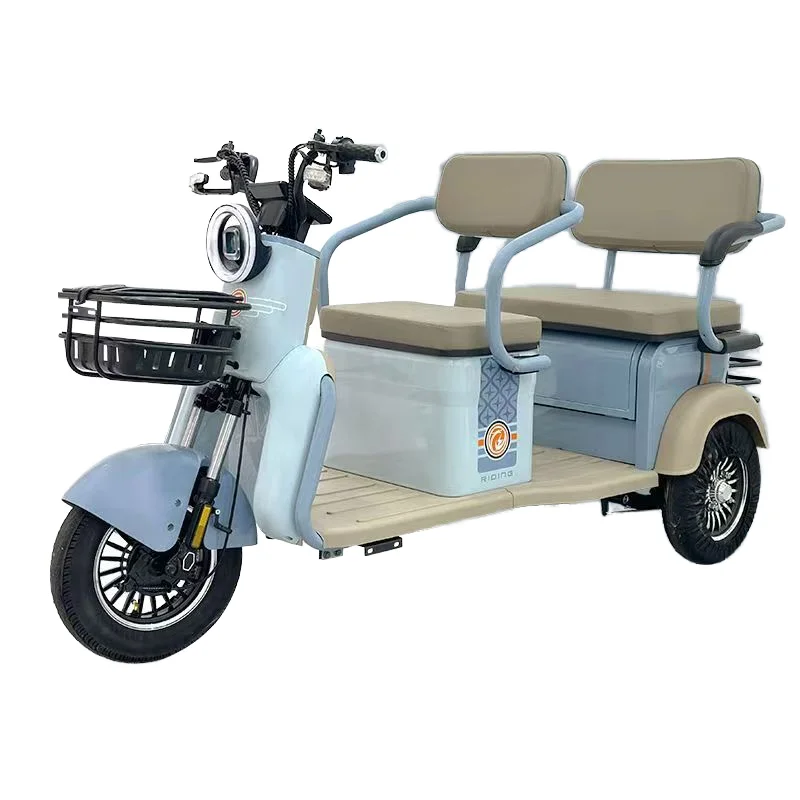 600W Electric Tricycle for Adults 48V 20A 3-Wheel Cargo and Passenger Use EEC Certified Open-Type Electric Bike