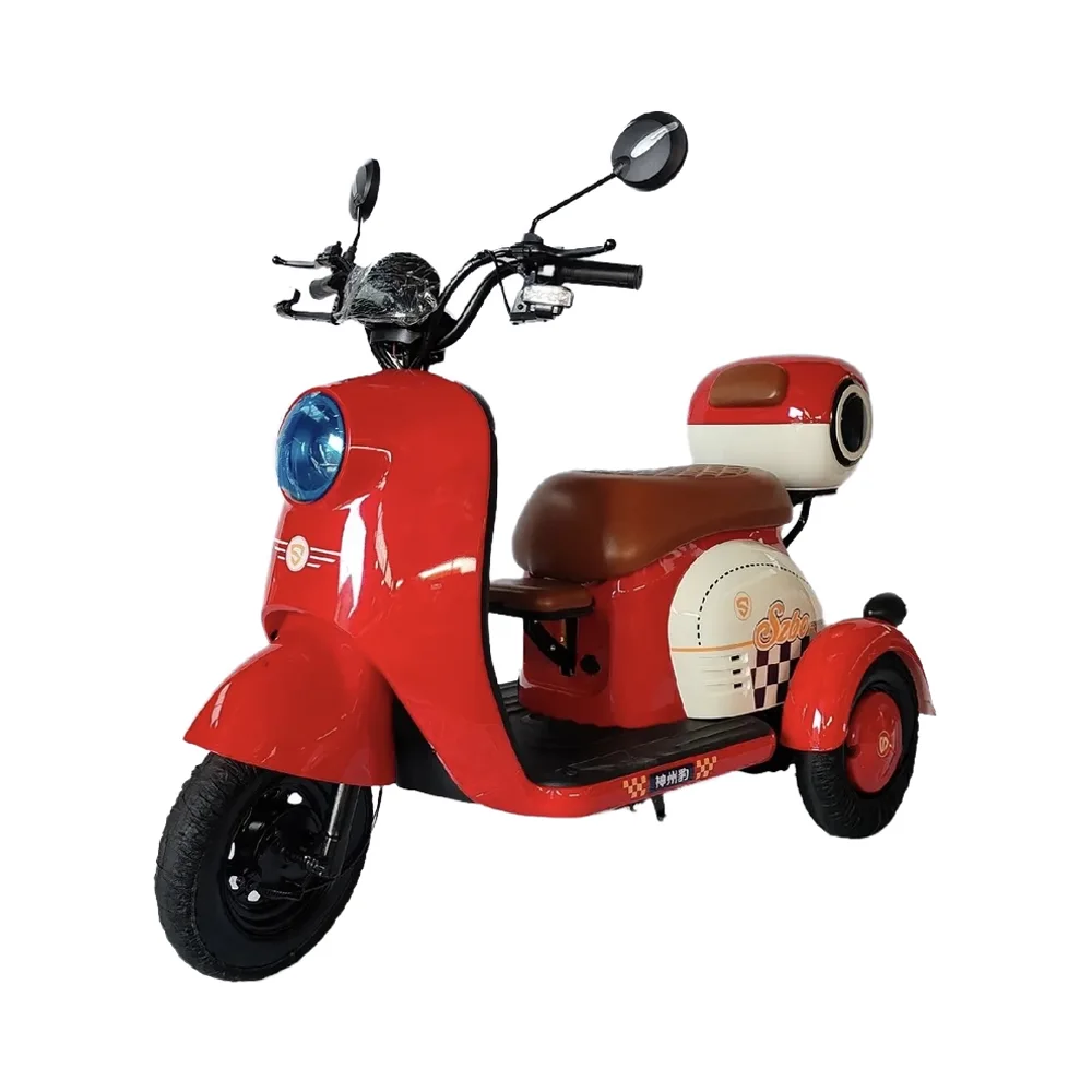 600W Powerful Fashion Electric Tricycle Two Seats Motorcycle