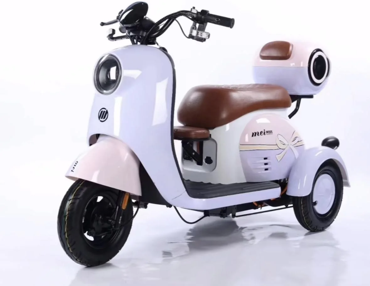600W Powerful Fashion Electric Tricycle Two Seats Motorcycle