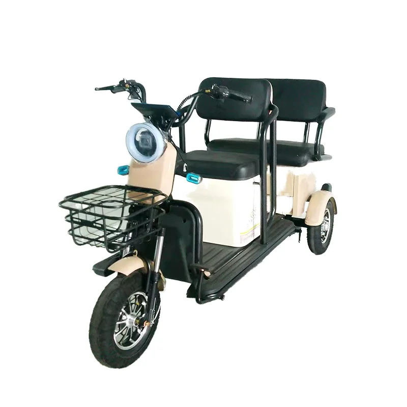 600W Electric Tricycle for Adults 48V 20A 3-Wheel Cargo and Passenger Use EEC Certified Open-Type Electric Bike