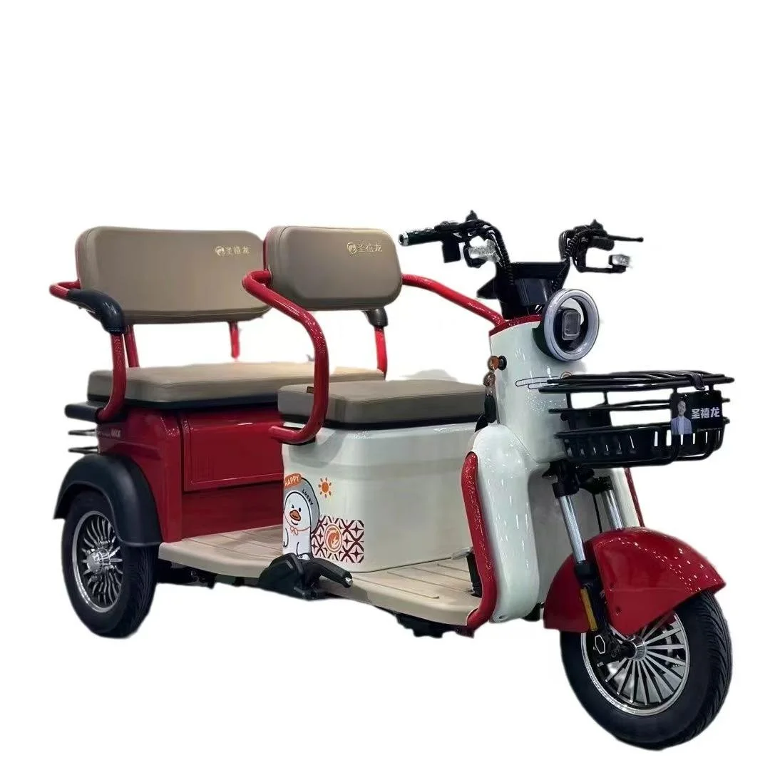600W Electric Tricycle for Adults 48V 20A 3-Wheel Cargo and Passenger Use EEC Certified Open-Type Electric Bike