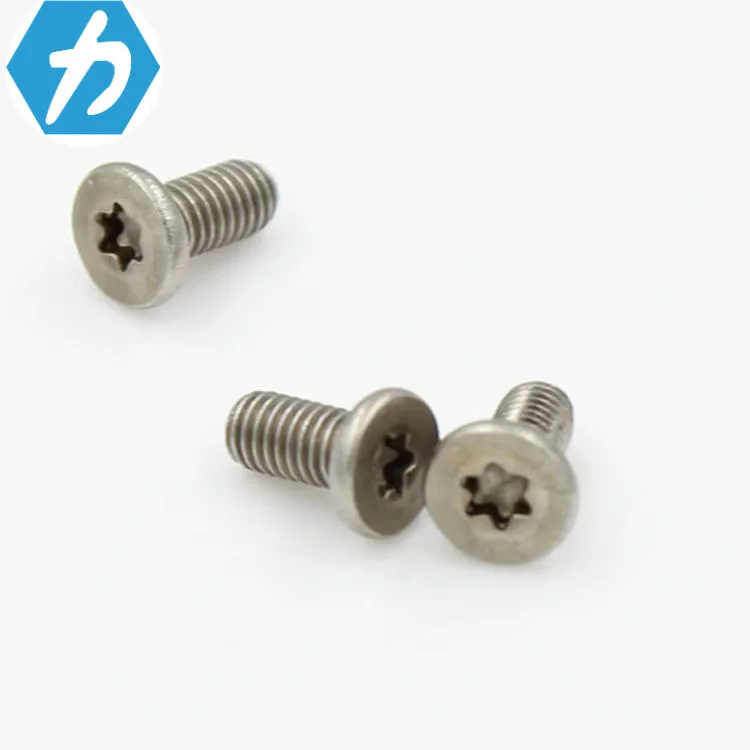 XLL China Supplier Custom Fasteners Stainless Steel Precision Micro Screw for Electronics