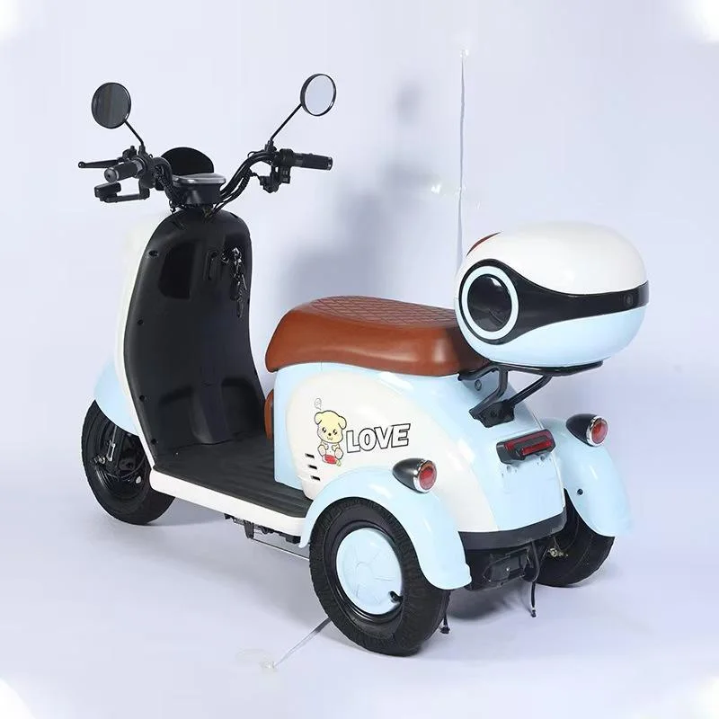 600W Powerful Fashion Electric Tricycle Two Seats Motorcycle