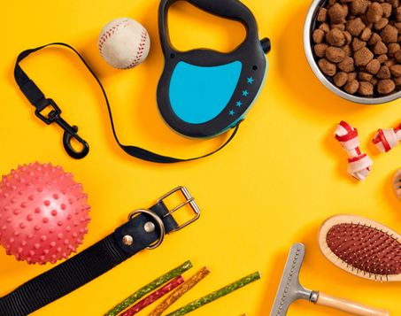 اكسسوارات الحيوانات