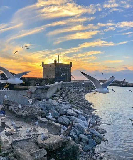 Excursion à Essaouira – Journée complète depuis Marrakech