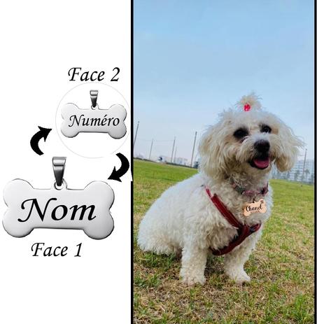 étiquette d’identification chien en acier inoxydable