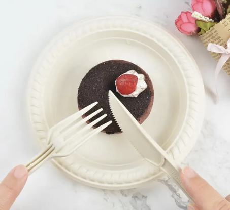 طقم صحون قابلة للتحلل من قصب السكر عالية الجودة