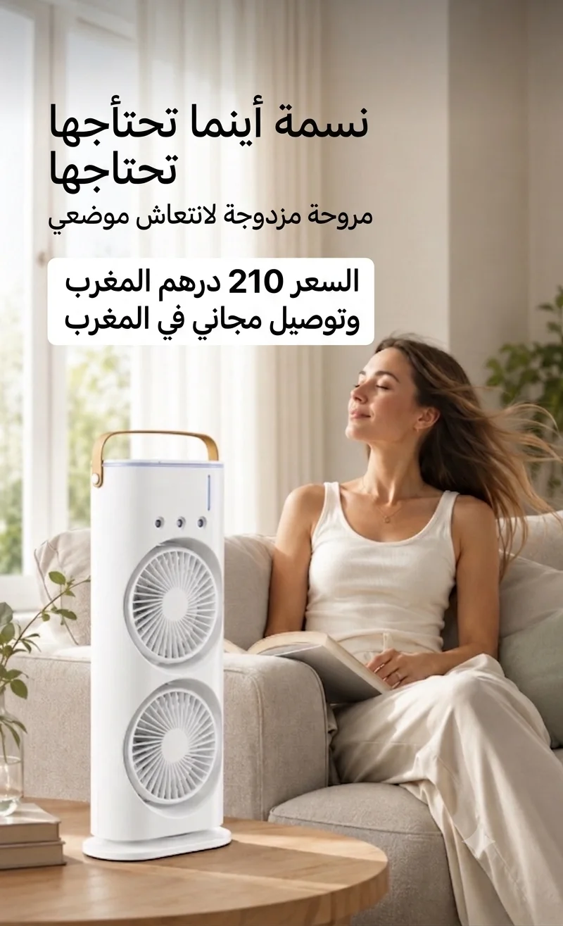 Double ventilateur