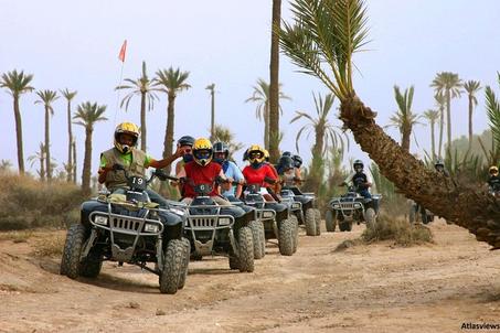 Quad biking in Marrakech desert palm grove