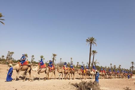 Sunset Camel ride Marrakech at the Palm groove