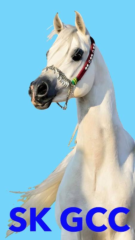 منتجات الخيول