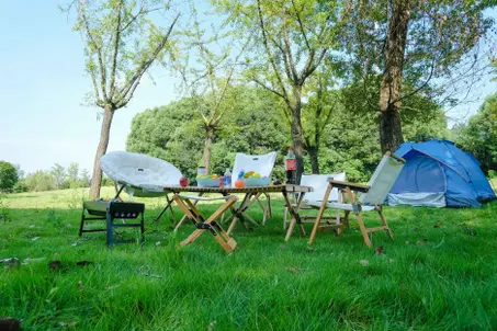 الهوايات و الترفيه