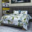stores/55b41730e28cfa62ea2208569a87d926/products/nBb9QxKhnEYwzuJiQp48je2LLqTmuRR9xcfvpNgB.jpg