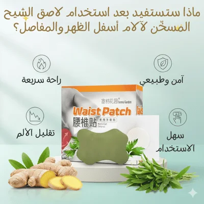 waist patch