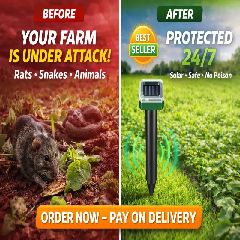 Solar Animal