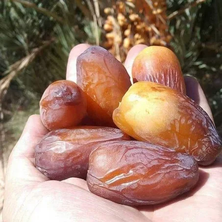 تمور الواحة الرشيدية _منتوج محلي _100%