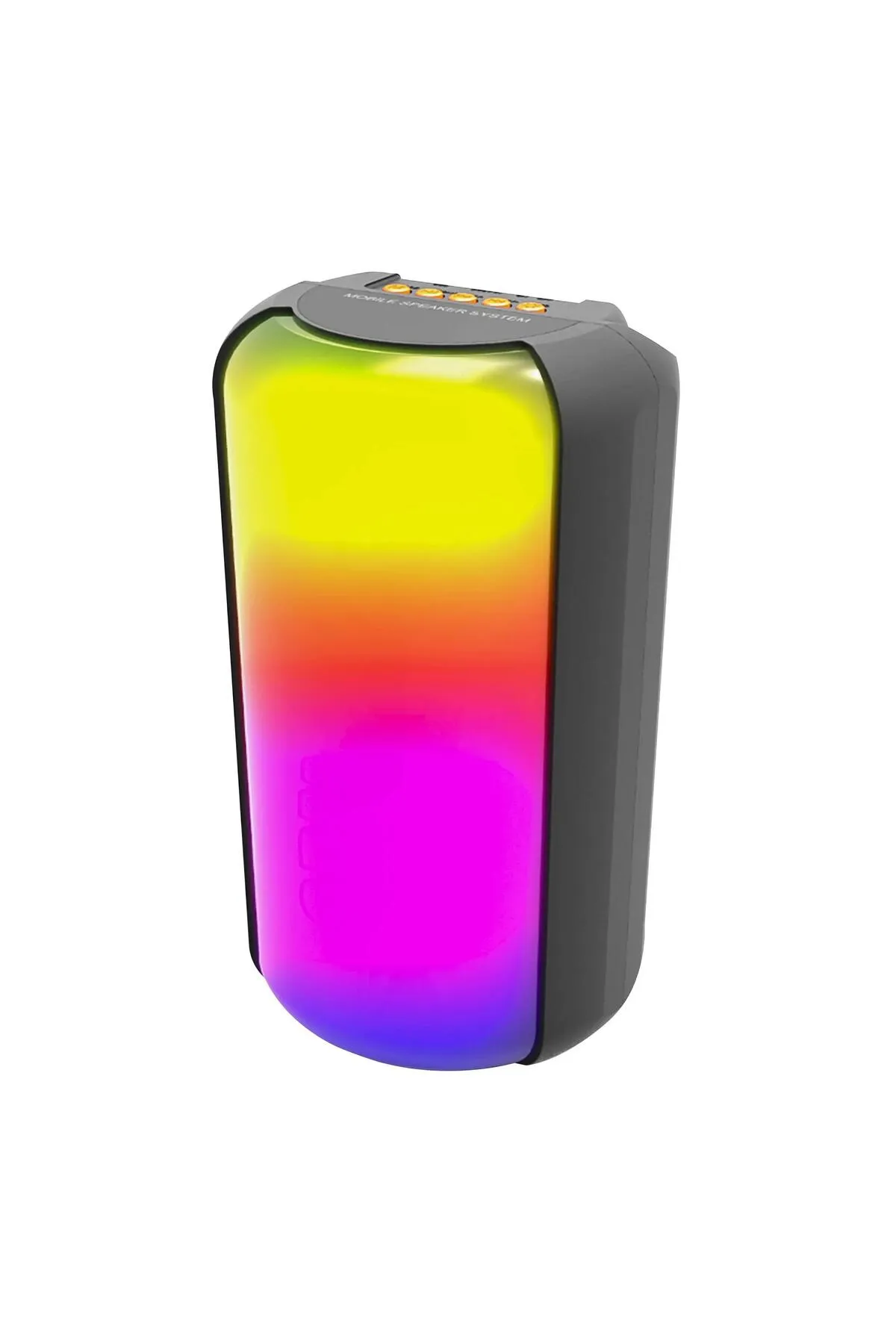 HAUT PARLEUR Bluetooth RECHARGEABLE MS-2206BT