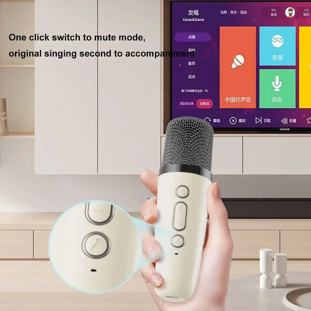 KARAOKE sound system 2Micro