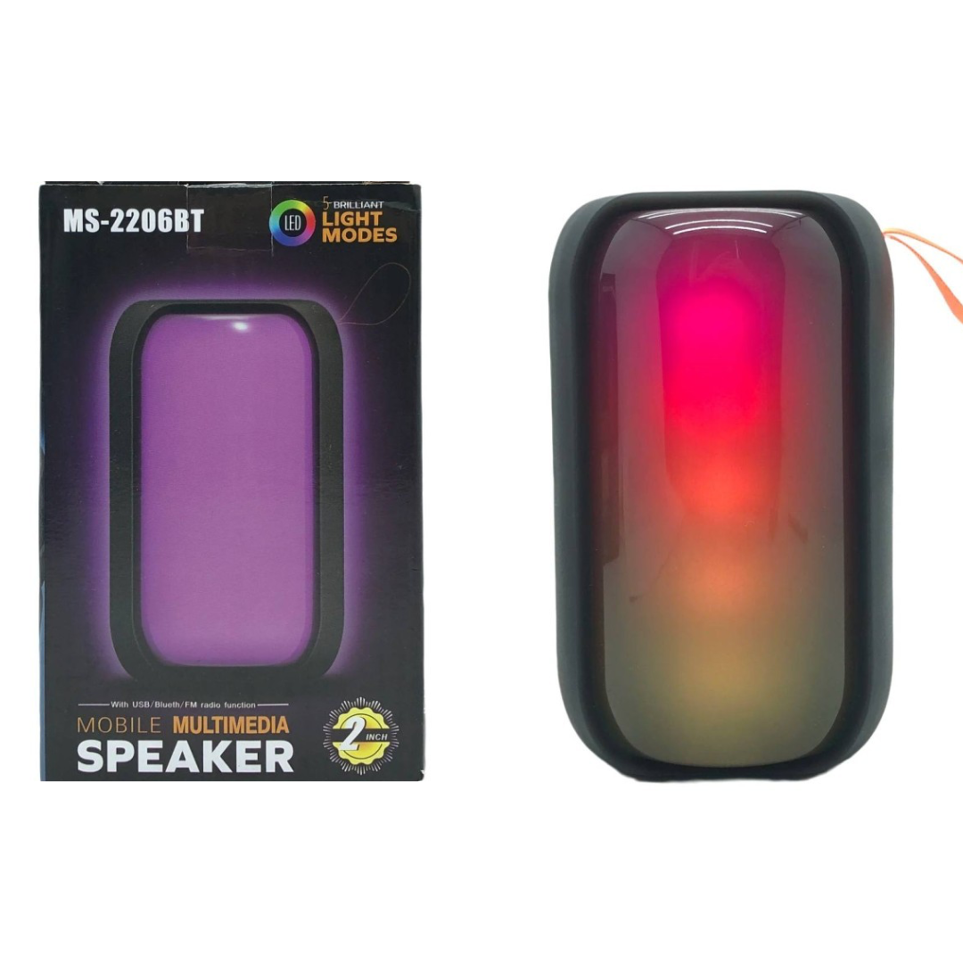 HAUT PARLEUR Bluetooth RECHARGEABLE MS-2206BT