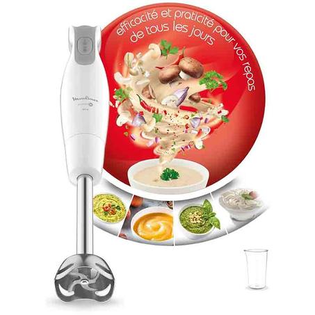 Moulinex Daily CHEF  Bras Mixeur 600W/3En1  - DD552110