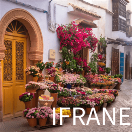 Fleurs à IFRANE: Livraison Rapide et Qualité Florale