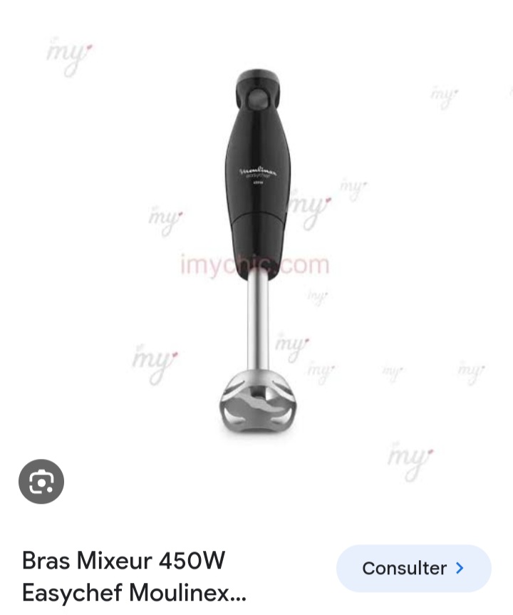 BRAS MIXEUR EASY CHEF 450W MS-651767