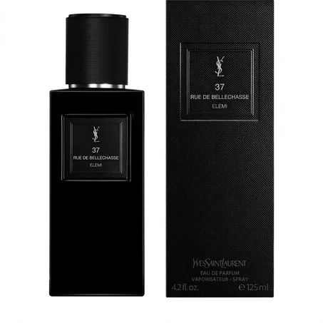 37 Rue de Bellechasse Yves Saint Laurent – عطر بخوري غامض  125 مل للجنسين
