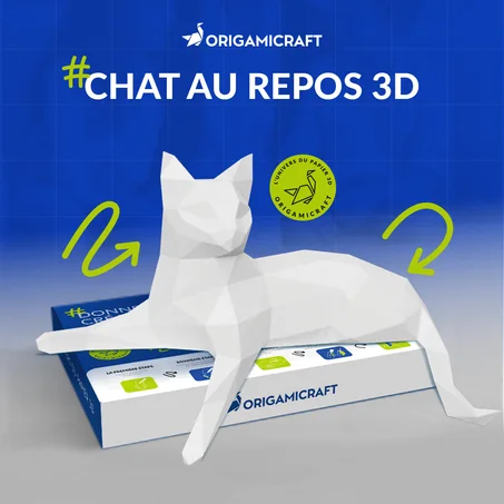 Chat au repos