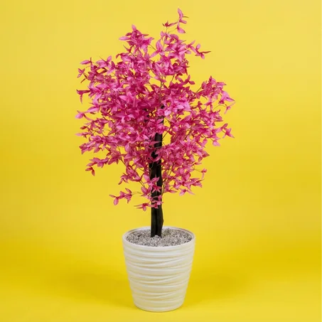 🌸  لمسة رقي مستوحاة من زهور الساكورا 🌸