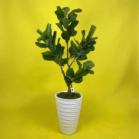 نبتة ديكور صناعية أنيقة 🌿