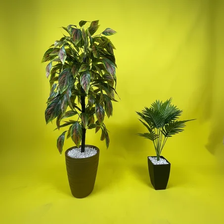 طقم نباتات للديكور