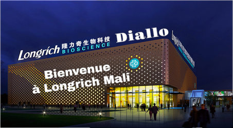 Histoire de Longrich