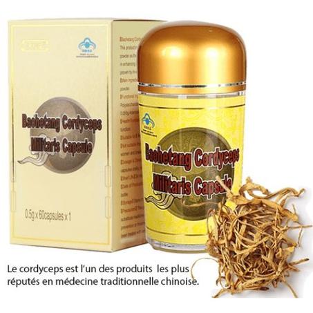 CORDYCEPS MILITARIS