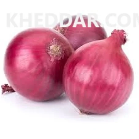 Oignon rouge 1 kg– بصل حمراء