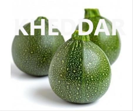 COURGETTE RONDE 1 KG – كورجيت مستديرة