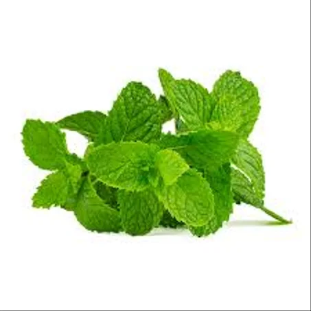 Menthe – نعناع (1 unité)