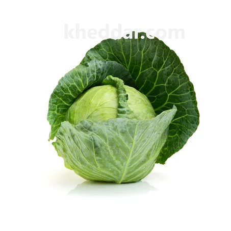 CHOUX VERT 1kg - ليشو أخضر